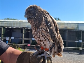 Customer Photo of Meet the Animals in Congresbury for Two